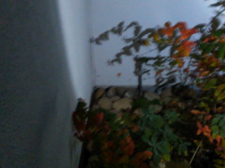 IMG_20161024_203822