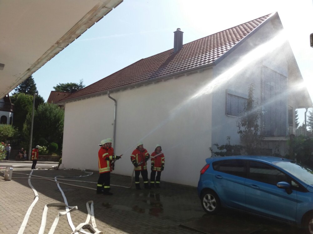 wp image 528606415