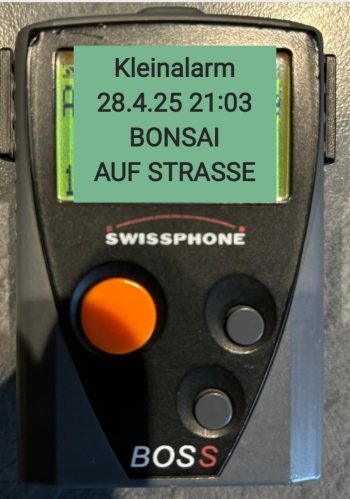 20250429 202120 e1750170011804